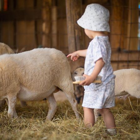 Camping Valloire-Sur-Cisse Seillac Zewnętrze zdjęcie